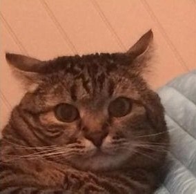 - Почему вы опоздали на работу? ! - Поздно вышел из дома... - А раньше нельзя было выйти? ! ! ! - ... - 4