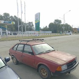 ���������, �����������, 39 ���