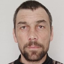 ����, ������, 41 ���