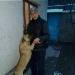 �����, ���������, 45 ���