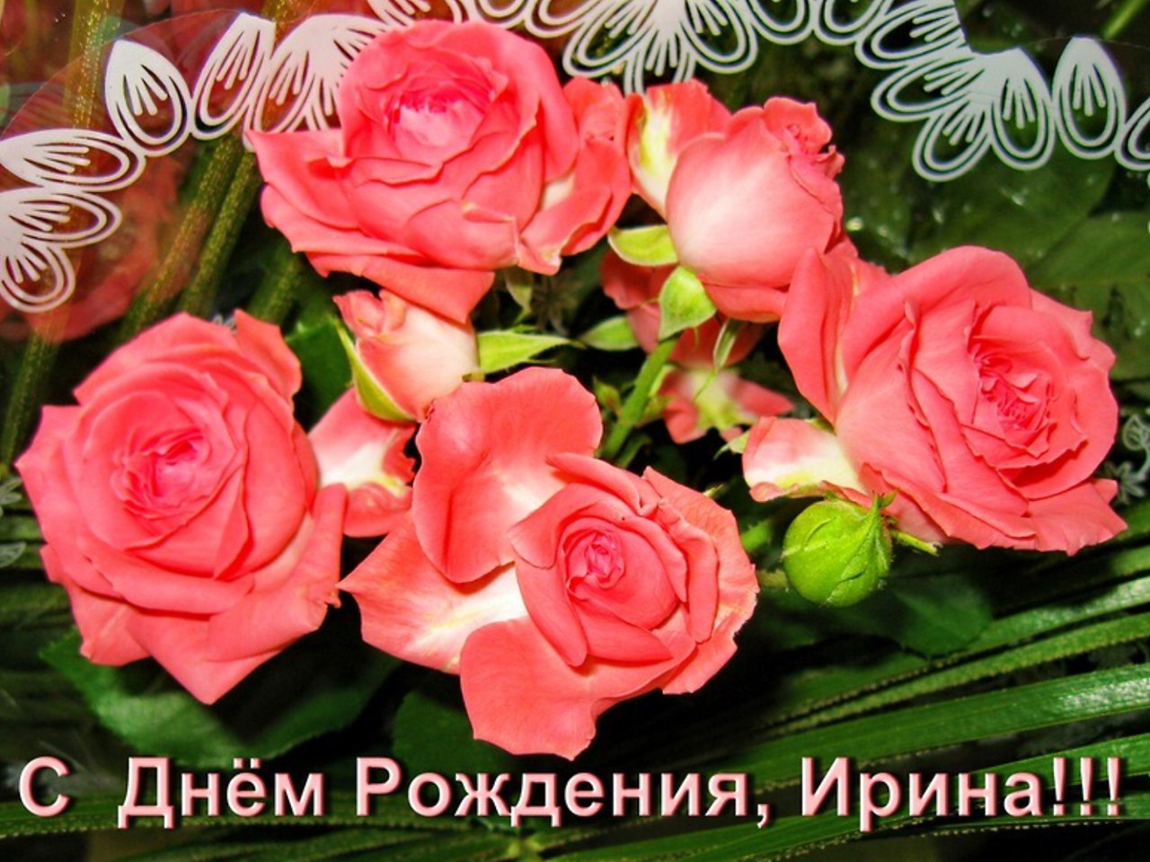   ,    . - 2  2023  16:08