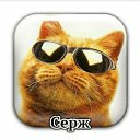 ���� �����, ������, 50 ��� - ��������� 10 ��� 2023 � ������ ���� ����������