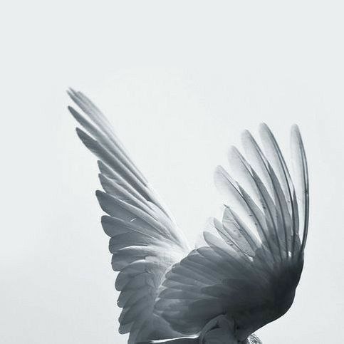 .-     ?   ,   . - , ,   ...