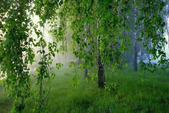 На улице дождь, непогода и слякоть.В окне остывают холодные дниА мне бы ладошки замерзшие спрятатьВ ...