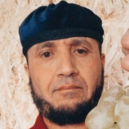 �����, ������, 51 ���