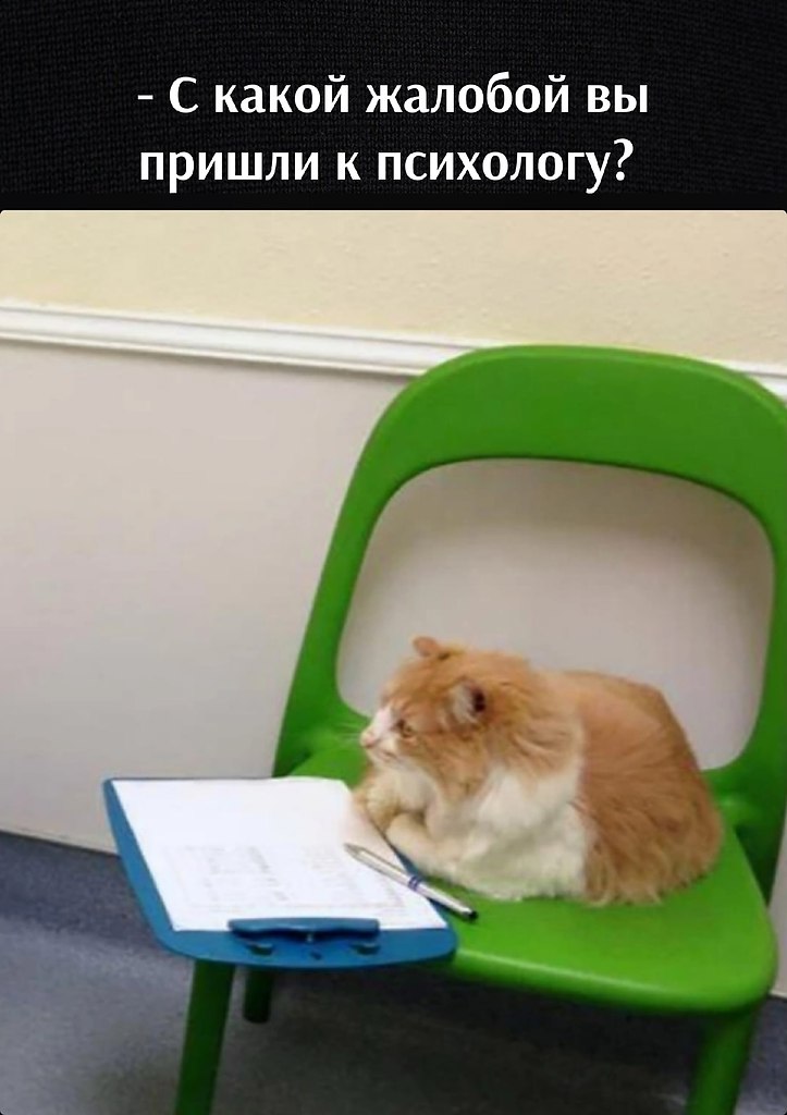       - 21  2023  16:52