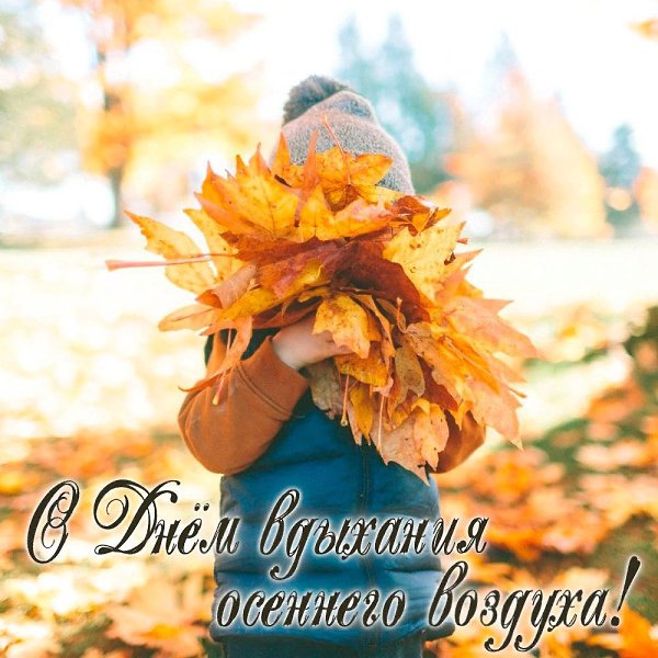 11  -    )