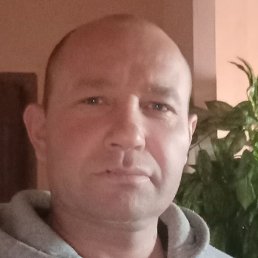 ���������, ������, 41 ���