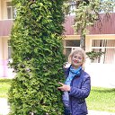 ���� ����, ������� �����, 65 ��� - ��������� 16 ��� 2023 � ������ ���� ����������