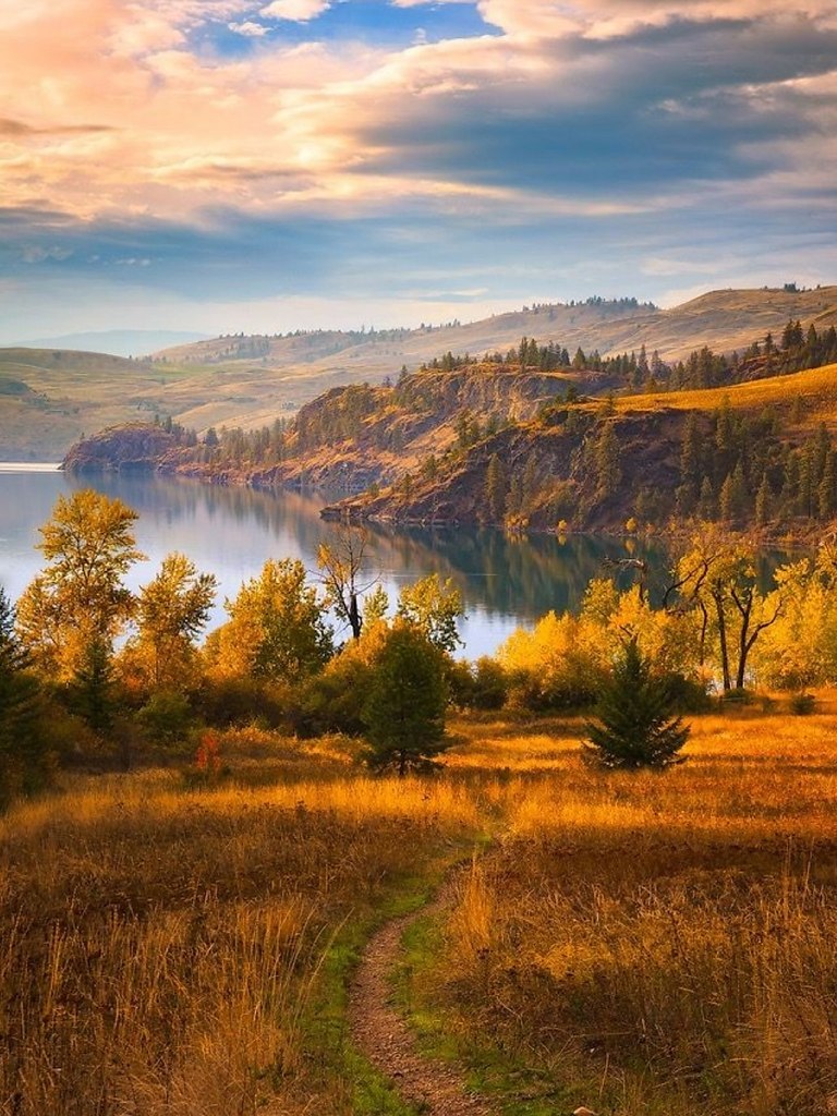 Осень Профессиональные Фотографии