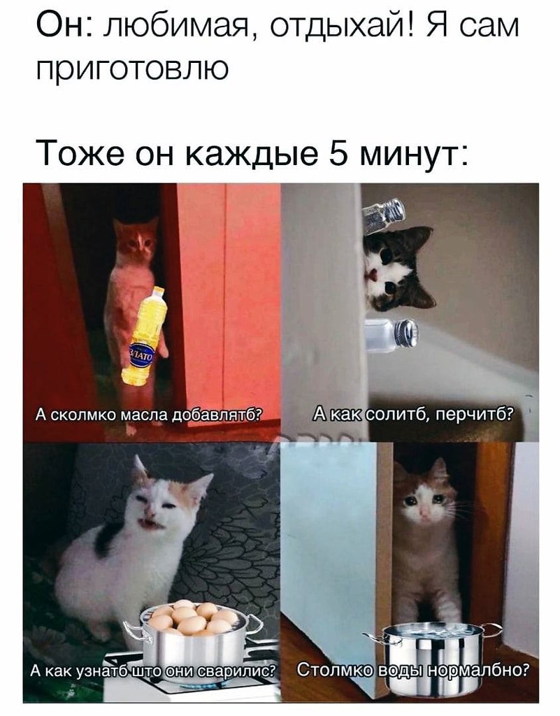    - 24  2023  11:35