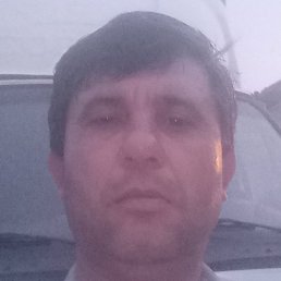 ������, ������, 49 ���