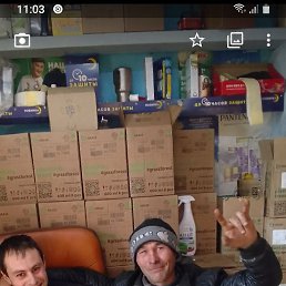 ����, ����, 44 ����