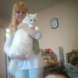 ���� ��������, ������-��-����, 60 ��� - ��������� 12 ���� 2023