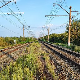 ����, ������, 39 ���