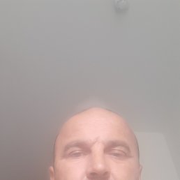 , 51 , 