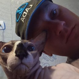 ������, ������-��-����, 37 ���