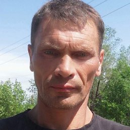 �������, ������, 46 ���