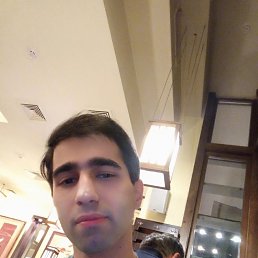 ���� Fir, ������, 32 ���� - ��������� 16 ���� 2023