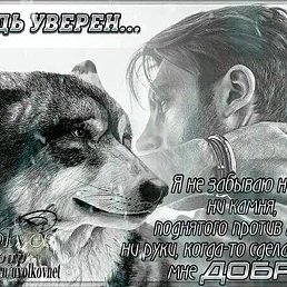 �������, ������, 51 ���