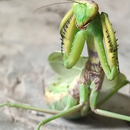 ���� ����, ������, 59 ��� - ��������� 15 ������� 2023