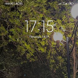 ����, ������, 37 ���