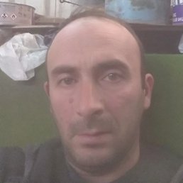 �����, �������, 41 ���