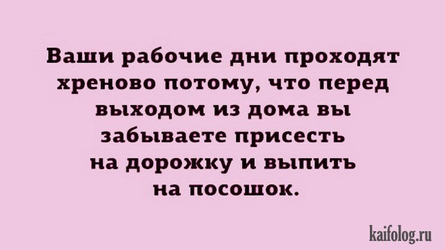   - 11  2023  13:37