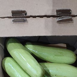 ���, ������, 34 ����