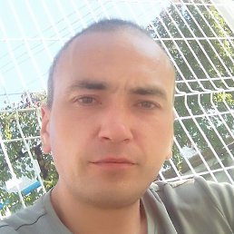 ������, ������, 37 ���