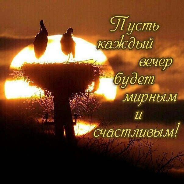 ~~~~~~~~~~~~~~~~~~~~~~~~