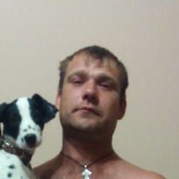 �������, ����������, 42 ����