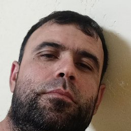 �����, ������, 41 ���