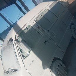 Alisher, �����, 33 ����