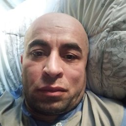 �����, ������, 46 ���