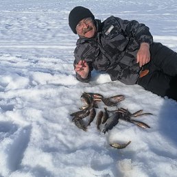 ���� �������, ��������, 67 ��� - ��������� 11 ����� 2023