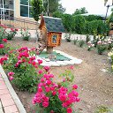 ���� ������, ����� �����, 55 ��� - ��������� 14 ������� 2023 � ������ ���� ����������