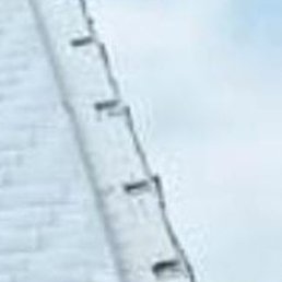 ����, �����, 55 ���