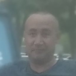 �����, �������, 41 ���