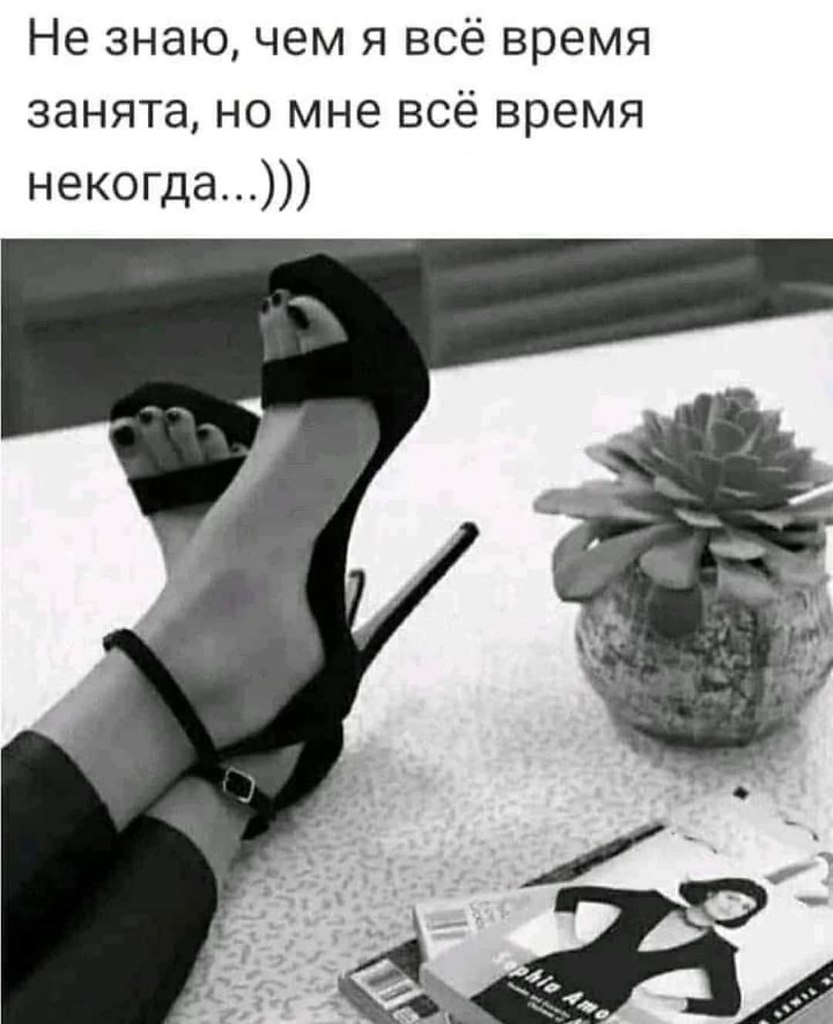   - 1  2023  19:07