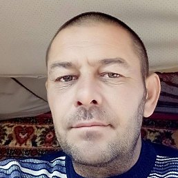 ������, �������, 48 ���