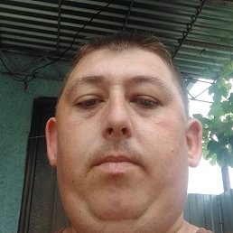 �������, ����������, 39 ���