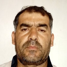 ������, ������, 44 ����