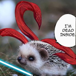 ����, ��������, 96 ���