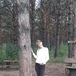 �����, ������, 41 ���