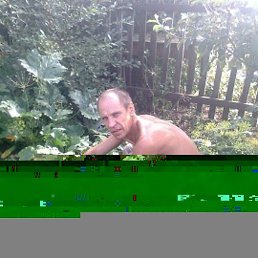 ������, �����, 62 ����