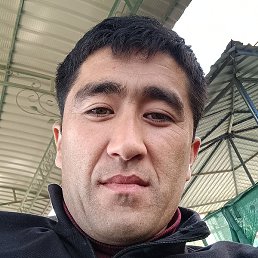 ���������, �������, 37 ���