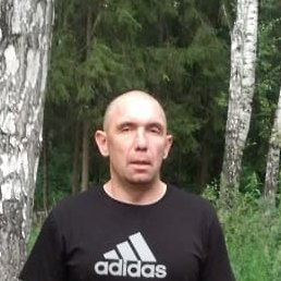 �����, ������, 41 ���