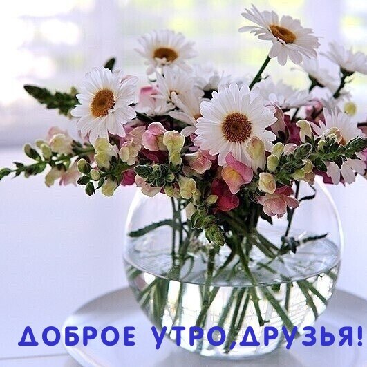   ,    . - 7  2023  21:24