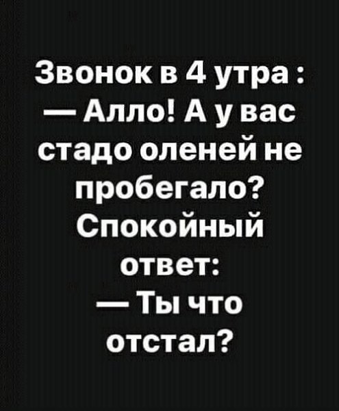   ! - 15  2023  18:42